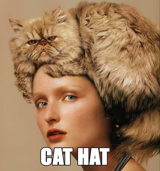 Funny picdump (115 pics)