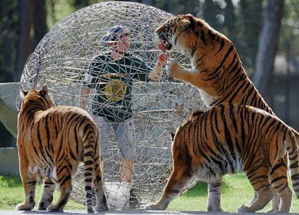 Funny picdump (133 pics)