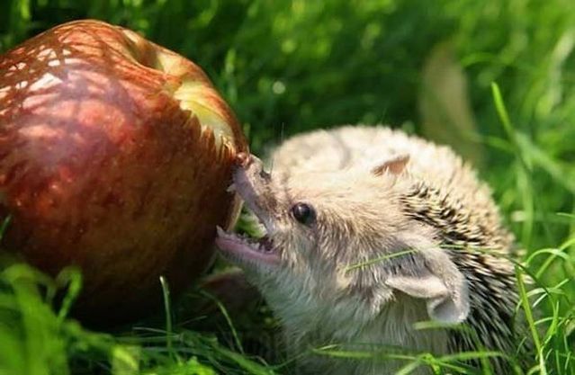 Funny picdump (133 pics)