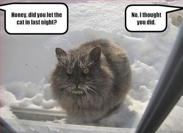 Funny picdump (133 pics)