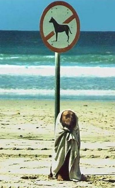 Funny picdump (133 pics)