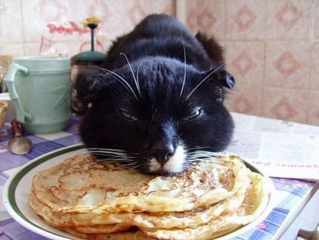 Funny picdump (122 pics)