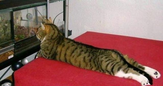 Funny picdump (122 pics)