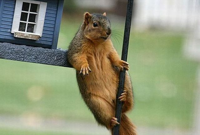 Funny picdump (122 pics)