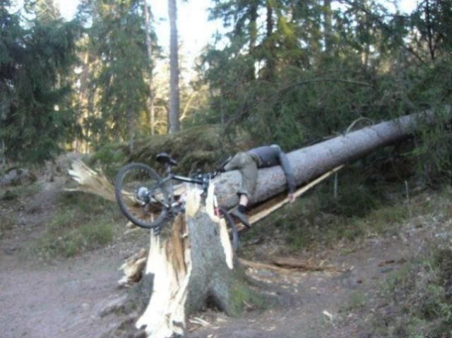 Funny picdump (86 pics)