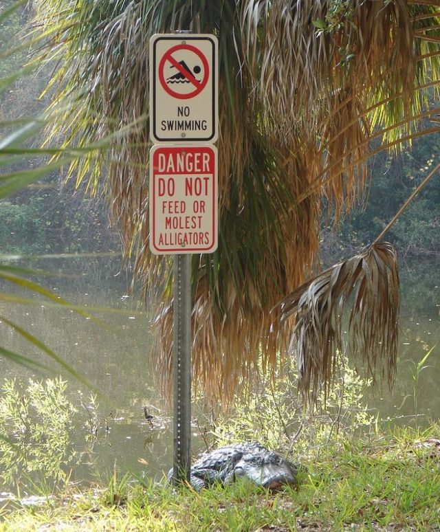 Daily picdump (96 pics)