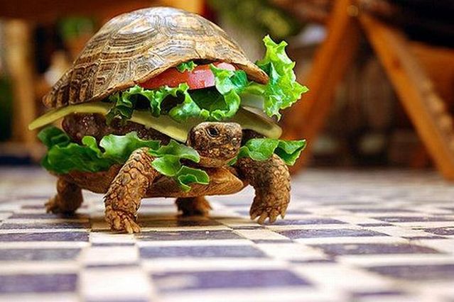 Daily picdump (96 pics)