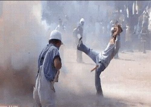 Collection of funny gif animations (53 gifs) Collection of funny gif animations (53 gifs)