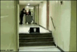 Collection of funny gif animations (53 gifs)