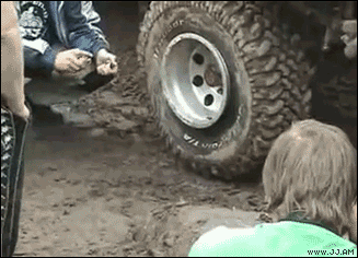 Collection of funny gif animations (53 gifs)