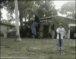 Collection of funny gif animations (53 gifs)