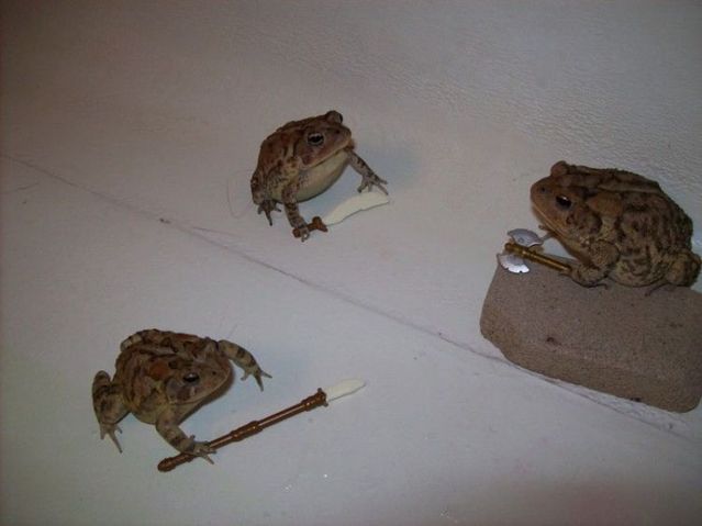 Daily picdump (108 pics)