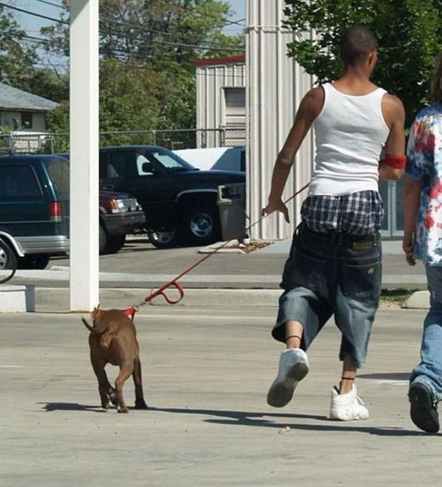 Daily picdump (96 pics)