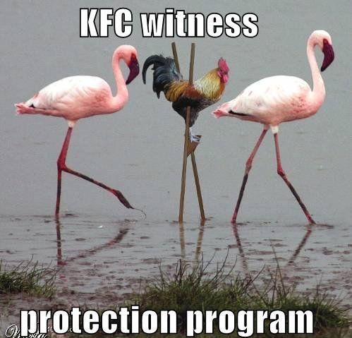 Daily picdump (96 pics)