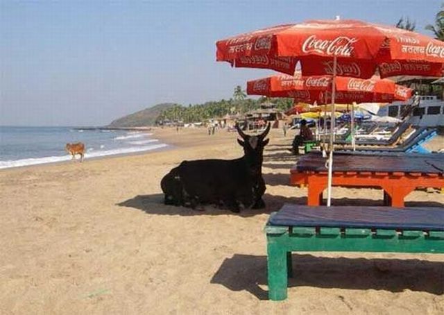 Daily picdump (96 pics)