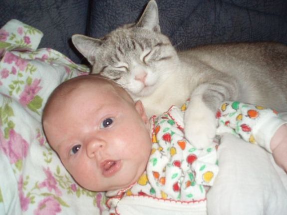 Daily picdump (96 pics)