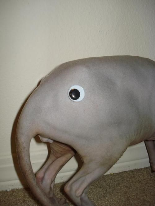 Daily picdump (96 pics)