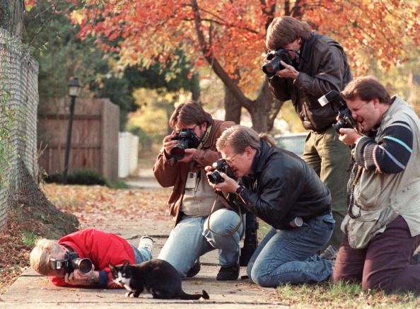 Daily picdump (96 pics)
