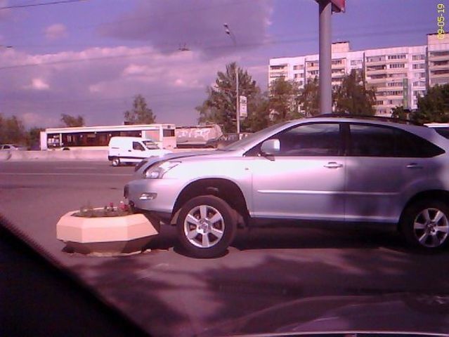 Daily picdump (132 pics)