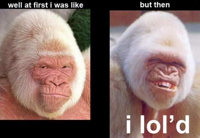 Daily picdump (132 pics)