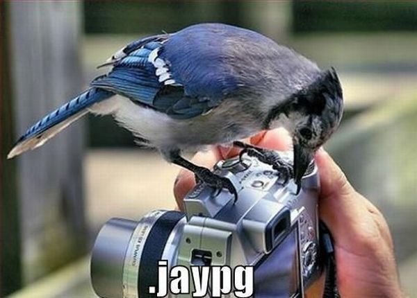 Daily picdump (132 pics)