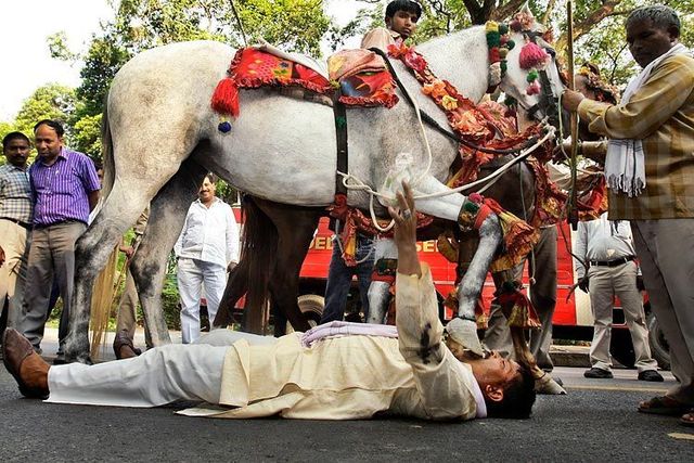 Daily picdump (132 pics)