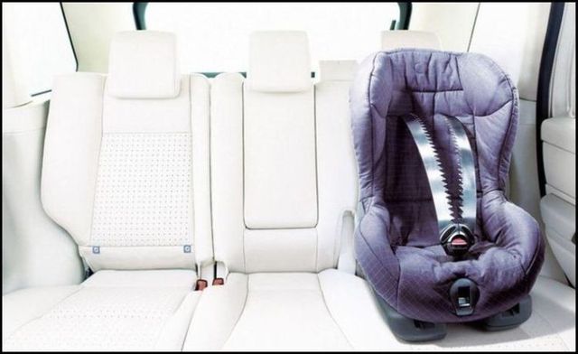 Daily picdump (132 pics)