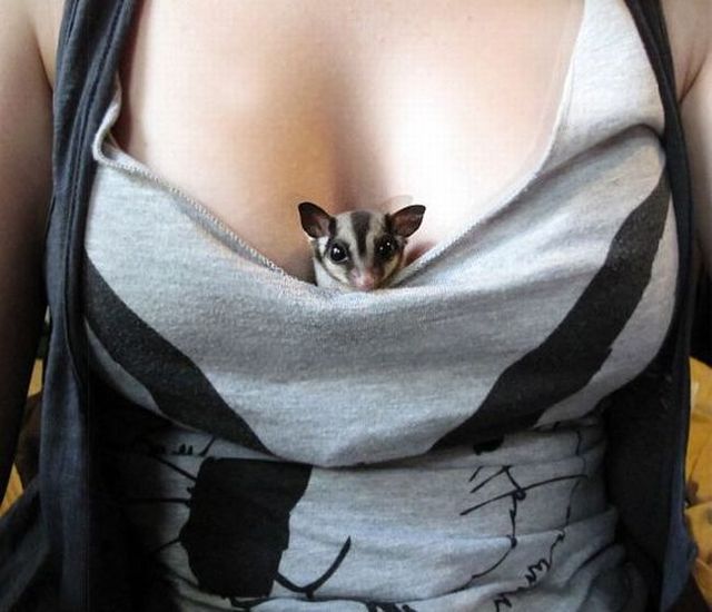 Daily picdump (127 pics)
