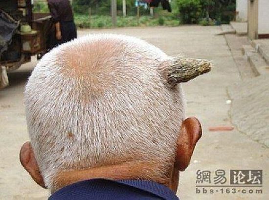 Daily picdump (126 pics)