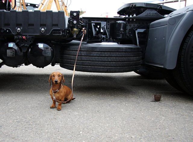 Daily picdump (126 pics)