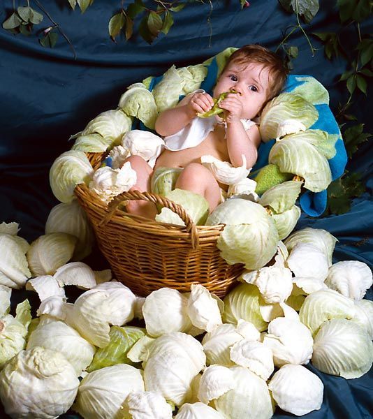 Daily picdump (126 pics)