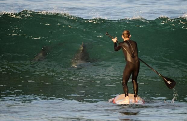 Daily picdump (103 pics)