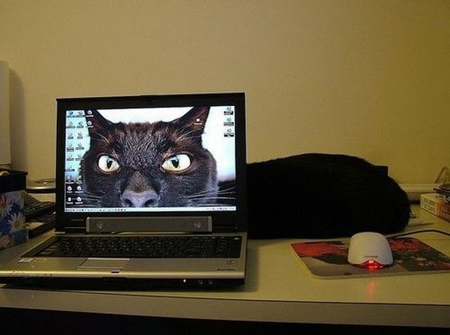 Daily picdump (103 pics)