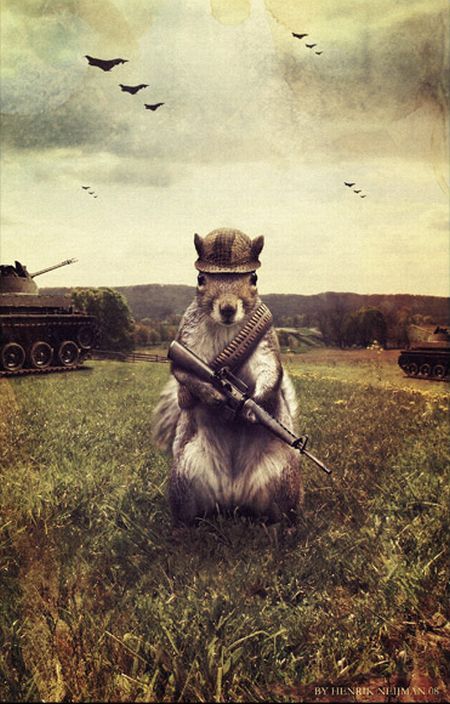 Daily picdump (103 pics)
