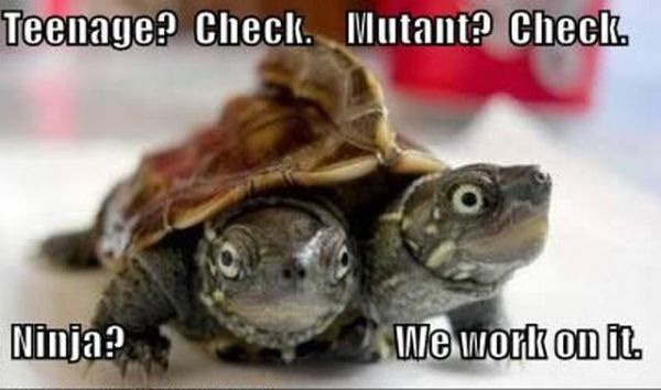 Daily picdump (103 pics)