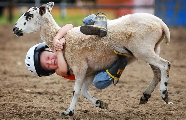 Daily picdump (102 pics)