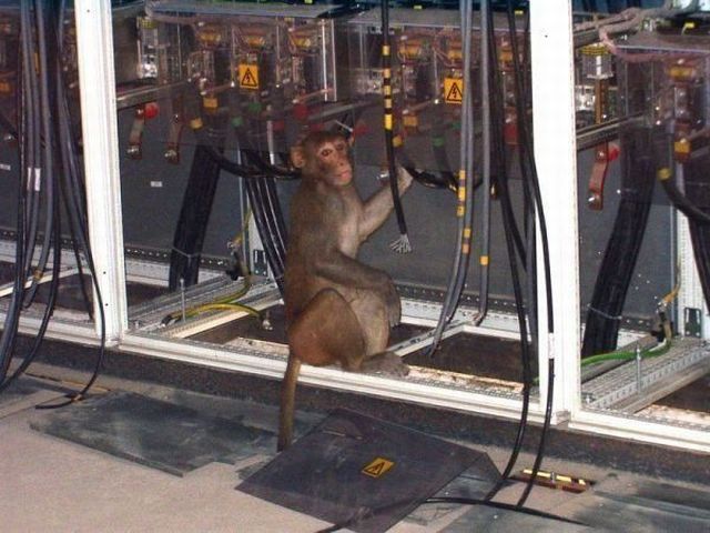 Daily picdump (106 pics)