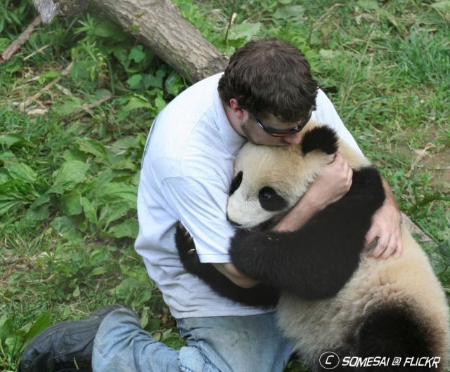 Daily picdump (127 pics)