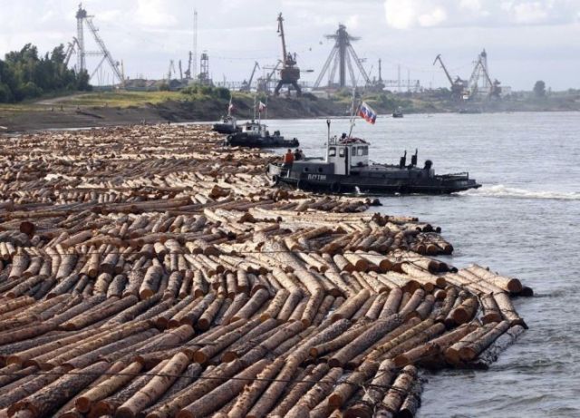 Daily picdump (127 pics)