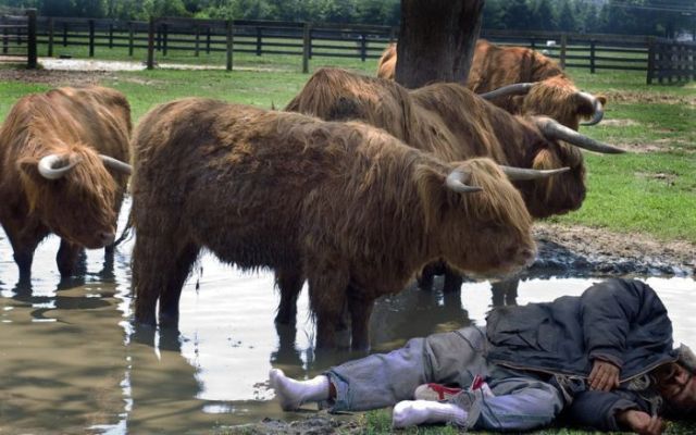 Daily picdump (127 pics)