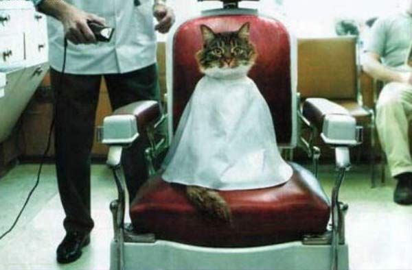 Daily picdump (127 pics)