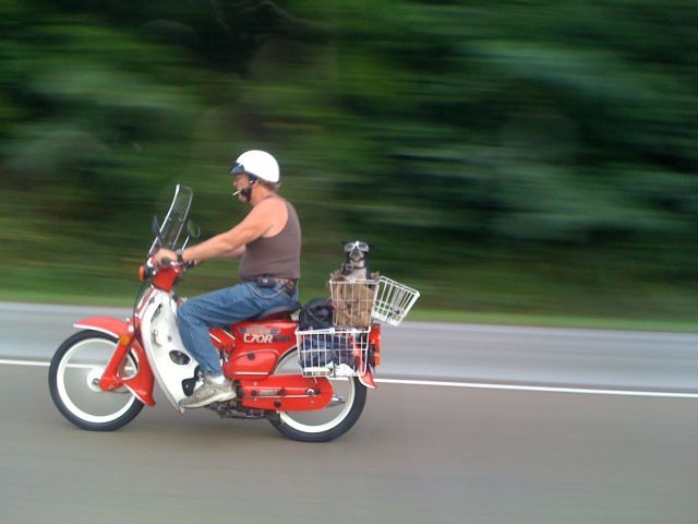 Daily picdump (127 pics)