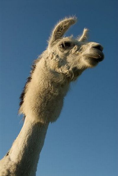 Daily picdump (127 pics)