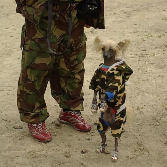 Daily picdump (138 pics)