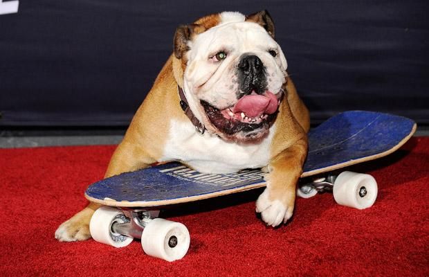 Daily picdump (138 pics)