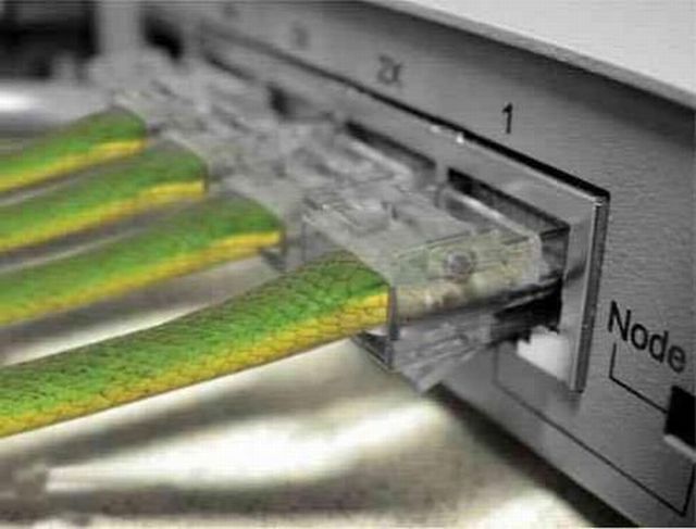 Daily picdump (138 pics)