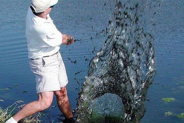 Daily picdump (138 pics)