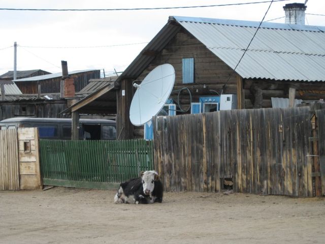 These crazy Russians (63 pics)