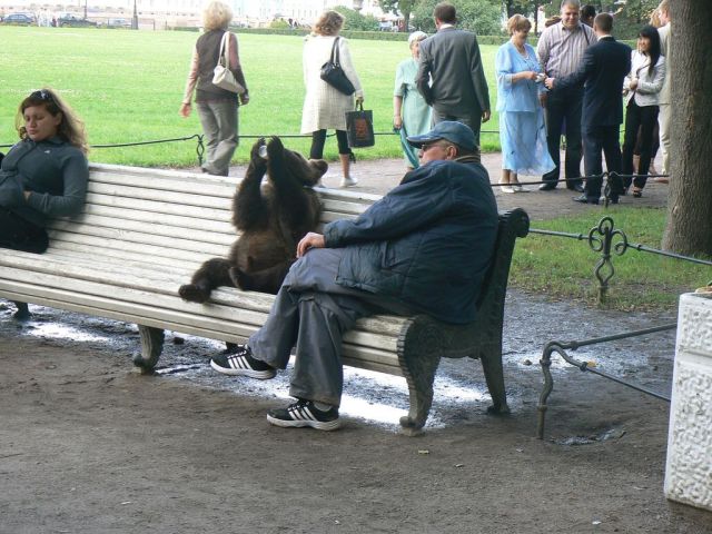These crazy Russians (63 pics)