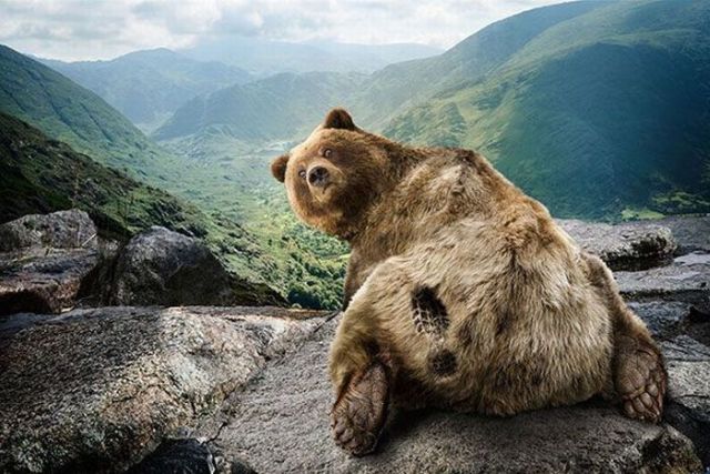 Daily picdump (149 pics)